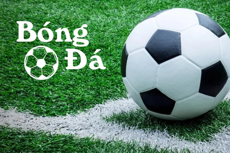 Cách Phân Biệt Bóng Trong Cuộc Và Bóng Ngoài Cuộc Chính Xác Nhất