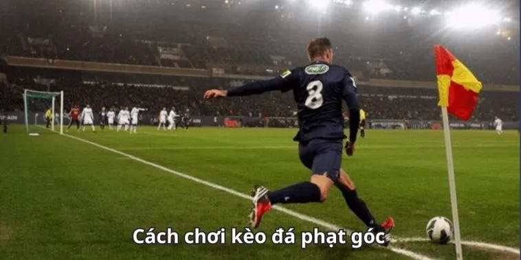 Phân Tích Kèo Phạt Góc Bóng Đá Và Những Thống Kê Quan Trọng