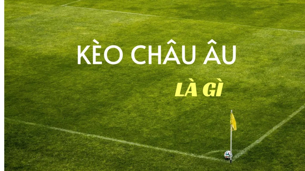 Hướng Dẫn Cách Đọc Kèo Châu Âu Và Bí Quyết Chơi Hiệu Quả Nhất