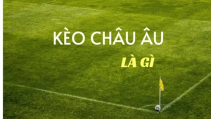 Hướng Dẫn Cách Đọc Kèo Châu Âu Và Bí Quyết Chơi Hiệu Quả Nhất