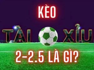 Giải Mã Kèo 2.25 Và Những Chiến Thuật Đầu Tư Thông Minh Năm 2026