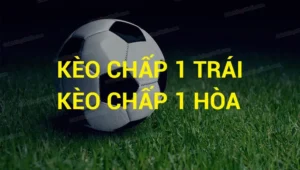 Cách Đọc Kèo Chấp 1 Trong Bóng Đá Hiệu Quả Cho Người Mới