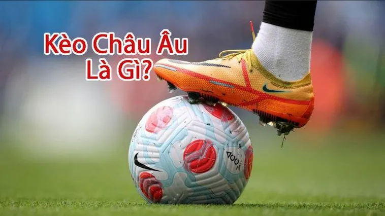Hướng Dẫn Cách Đọc Kèo Châu Âu Và Bí Quyết Chơi Hiệu Quả Nhất